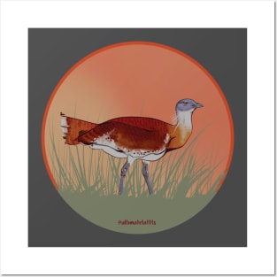 European Bustard Posters and Art